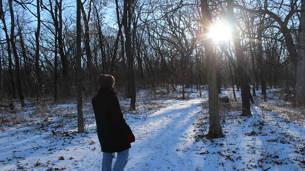 One person standing in the snow