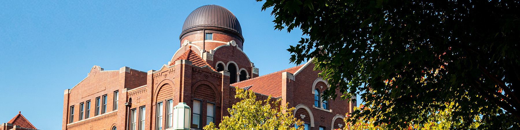 The top of a Loyola University Chicago building, with campus scenery, on a sunny day.