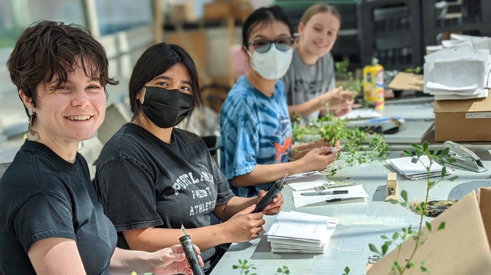 A group of students work together.