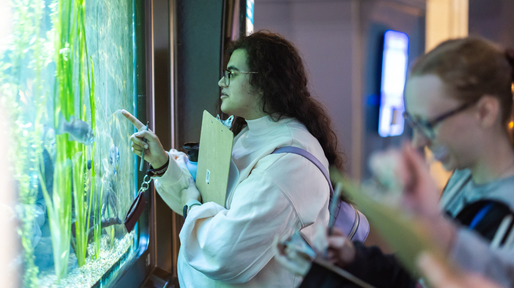 A student shows classmates an exciting find at Shedd Aquairum.