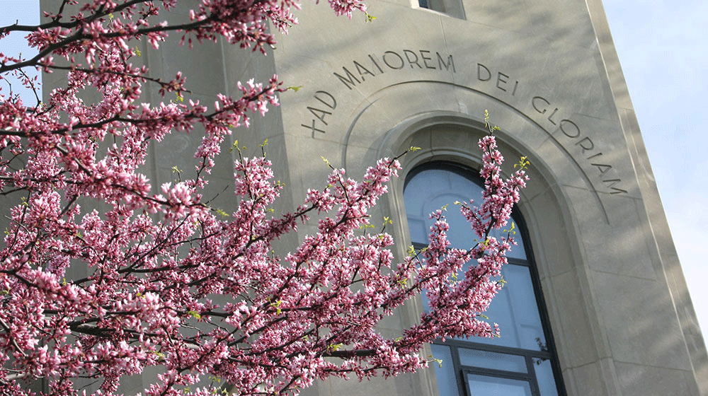 A photo of a vibrant pink blossom tree in front of a building at the Lake Shore Campus.