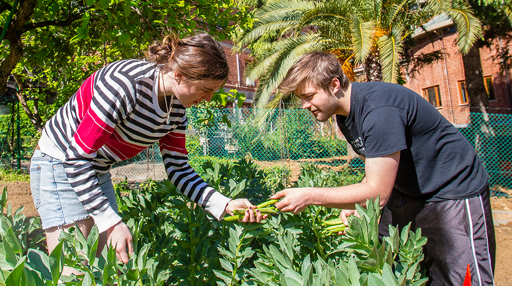 students work with plant life in Rome