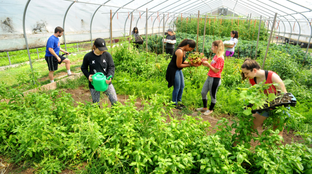 “Loyola’s Day of Service is an excellent opportunity for students to learn about legal aid organizations and Chicago communities, to serve others, and to meet new classmates,” says Carrie Seleman, a Loyola 2L who organized the gardening project at Growing Homes.