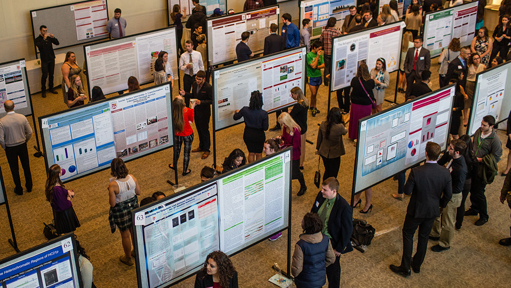 Undergraduates presenting their research during the Weekend of Excellence Poster Session.