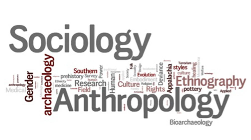 A world cloud graphic depicting many words related to sociology and anthropology