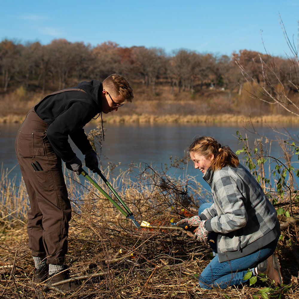 invasive species environmental restoration