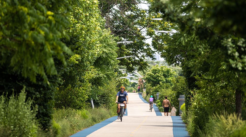 people on a bike trail