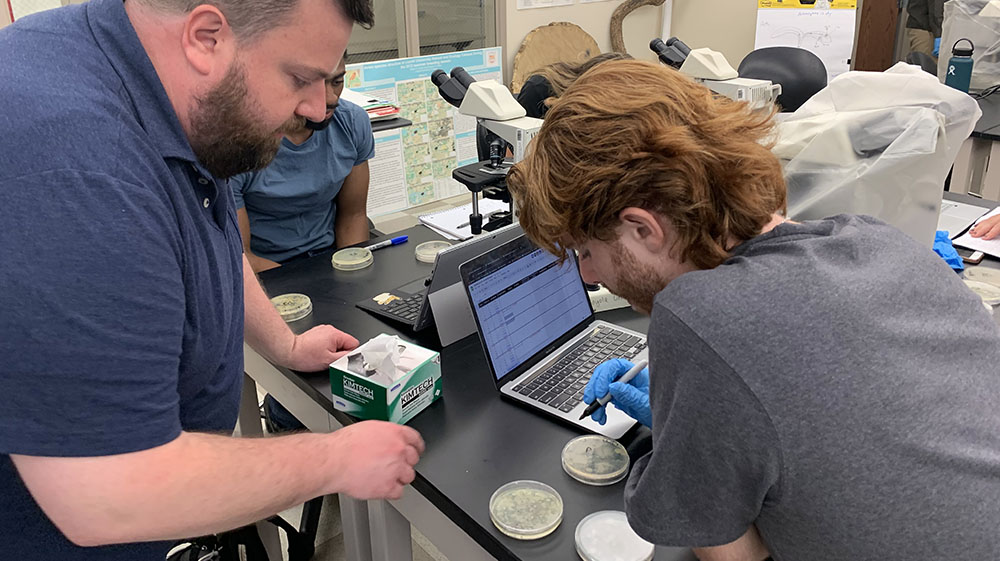 Greg Palmer and a student examining microbial colonies growing in Petri dishes