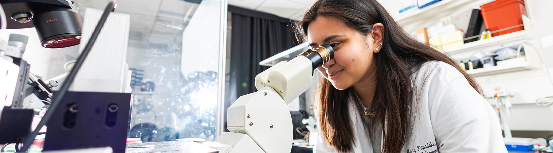 Loyola University Chicago students work on research projects in Prof. Andrew Kirk's Cell and Molecular Physiology lab at the Health Sciences Campus